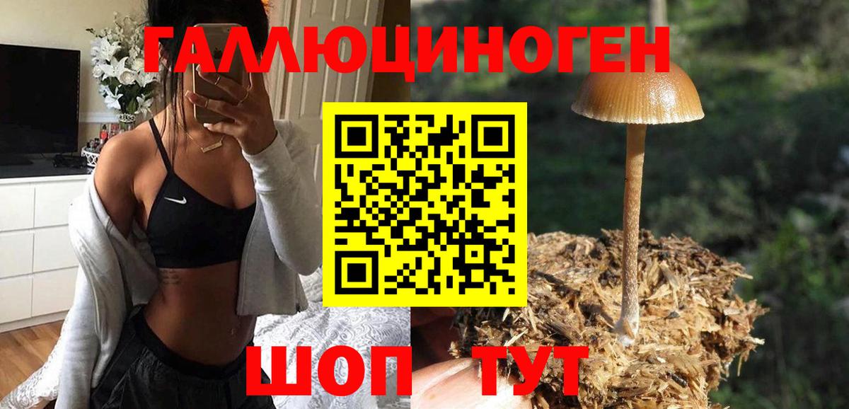 Ставрополь  Галлюциногенные грибы прущие грибы  Вход с VPN 