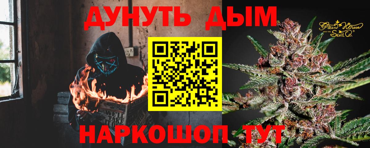 Бошки Шишки сатива Ставрополь